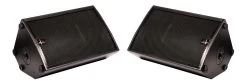 2x SWAMP BT-12 - 2-way Passive 12" PA Speaker - 300W RMS
