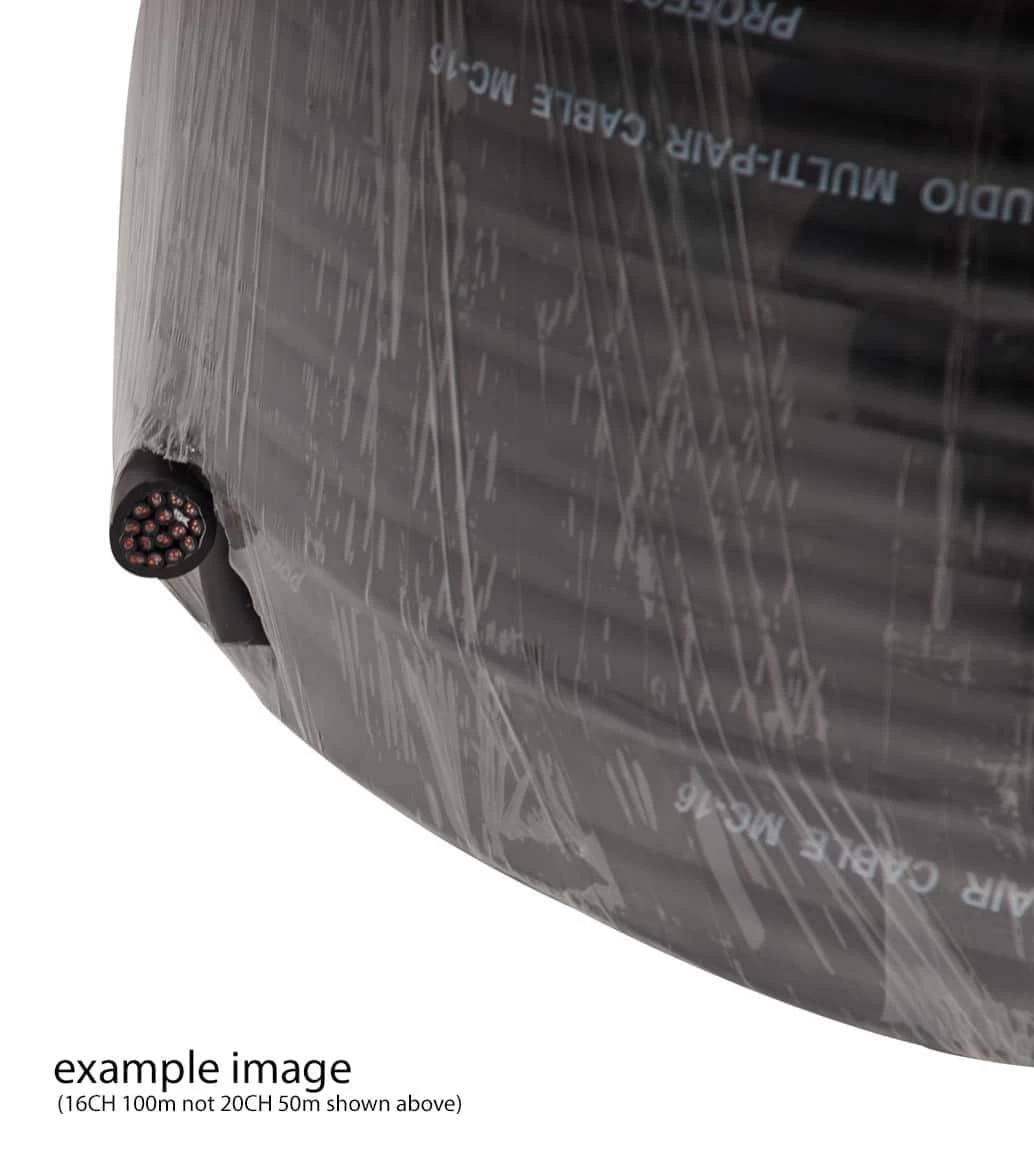 SWAMP 20-way Twin Conductor Multicore Cable - Per Metre 4 SWAMP 20-way Twin Conductor Multicore Cable - Per Metre - Image 2