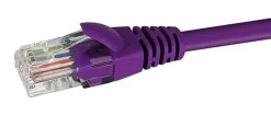 Datamaster W27 Cat6 Ethernet Purple Patch Cable RJ45 Network Connectors - 50cm