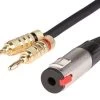 SWAMP Speaker Link Cable - 1/4"(f) To Dual Banana - 1m