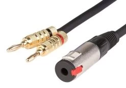 SWAMP Speaker Link Cable - 1/4"(f) To Dual Banana - 1m