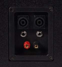 SWAMP 10" 2-way 150W RMS - Passive PA Speaker -Music Equipment Store CA 10 1