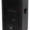 SWAMP 10" 2-way 150W RMS - Passive PA Speaker -Music Equipment Store CA 10