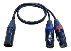 Cable Techniques CT-PYM-18 5-pin XLR Male To Dual 3-pin XLR Female Stereo Y Cable