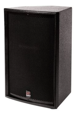 SWAMP BT-12 - 2-way Passive 12" PA Speaker - 300W RMS - Type-B