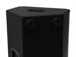 SWAMP HA-12 - Compact Passive 12" PA Speaker - 250W RMS -Music Equipment Store HA 12 2