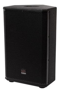 SWAMP HA-12 - Compact Passive 12" PA Speaker - 250W RMS