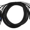 SWAMP 8 Channel XLR(m) - 1/4" TRS Balanced Loom / Multicore - 3m