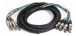 SWAMP Premium 8-way XLR(f) To 1/4" Audio Snake Cable Loom - 1m