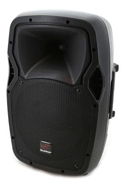 SWAMP 10" Powered PA Speaker - Bi-amped - 120W + 30W RMS