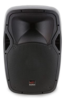 SWAMP 12" 2-way Passive PA Speaker - 180W RMS -Music Equipment Store PBO 12 PASSIVE 1