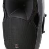 SWAMP 12" 2-way Passive PA Speaker - 180W RMS -Music Equipment Store PBO 12 PASSIVE