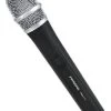 PASGAO PAH-172 Handheld Wireless Vocal Microphone -Music Equipment Store PG PAH 172