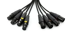 SWAMP 8-way DB-25 To XLR Digital I/O AES Cable TASCAM Wiring - 3m -Music Equipment Store RH DB25 XLR SR 3m 1