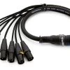 SWAMP 8-way DB-25 To XLR Digital I/O AES Cable TASCAM Wiring - 3m 1 SWAMP 8-way DB-25 To XLR Digital I/O AES Cable TASCAM Wiring - 3m -Music Equipment Store RH DB25 XLR SR 3m