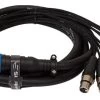 SWAMP 8-way DB-25 To XLR(f) Cable TASCAM Wiring - 3m -Music Equipment Store RH DB25 YS136N 3m