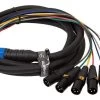SWAMP 8-way DB-25 To XLR(m) Digital AES Cable TASCAM Wiring - 1m 2 SWAMP 8-way DB-25 To XLR(m) Digital AES Cable TASCAM Wiring - 1m -Music Equipment Store RH DB25 YS137N 110 1m
