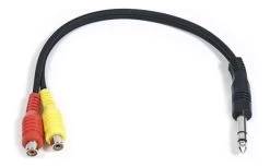 SWAMP Budget Series - Audio Link Cable - 1/4"(m) TRS To 2x RCA(f) - 30cm