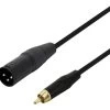 Line Level Cable - XLR(m) To RCA(m) Audio DJ Cable - 3m -Music Equipment Store SC RCA XLR M 3m