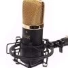 ISK BM-700 Uni-directional Studio Condenser Microphone -Music Equipment Store SK BM 700